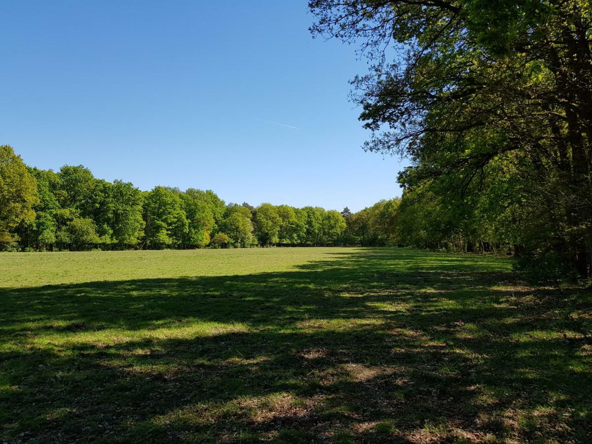 Knusse Bungalow Otterlo Veluwe 外观 照片